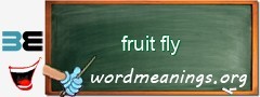 WordMeaning blackboard for fruit fly